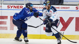 hokej plzen